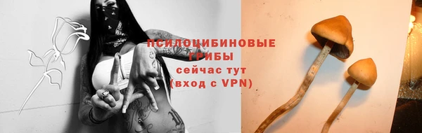 стафф Абинск