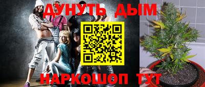 mdpv Канаш