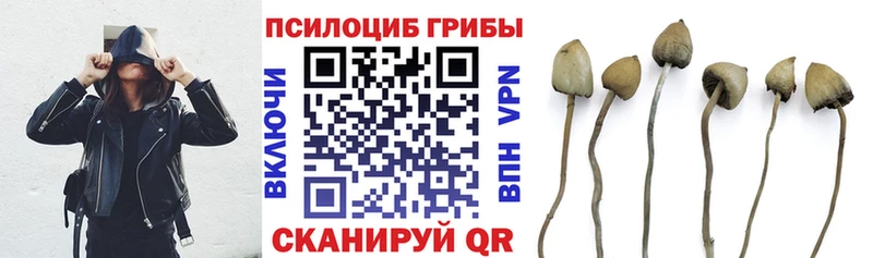 мега рабочий сайт  где купить наркотик  Комсомольск-на-Амуре  Псилоцибиновые грибы мицелий 