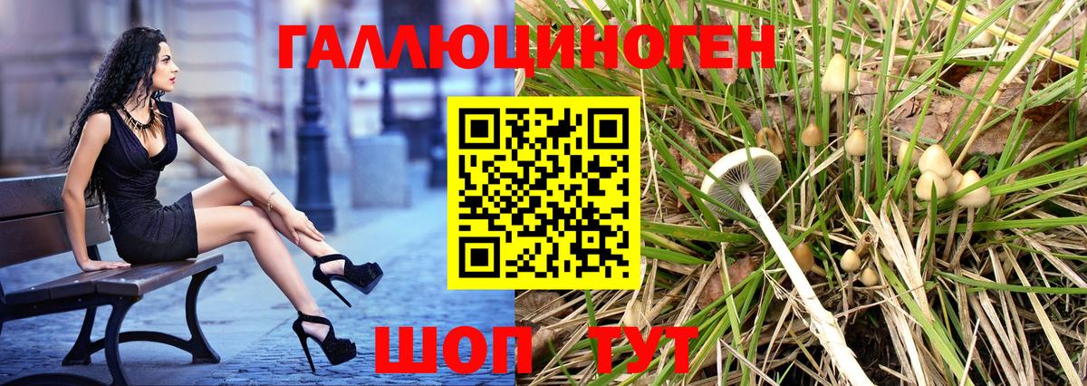 Псилоцибиновые грибы прущие грибы  Вход с VPN  где продают наркотики  Комсомольск-на-Амуре 